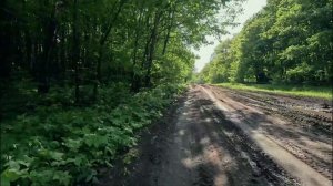 Самарская Лука на велосипеде. Рождествено-Винновка. Д?
