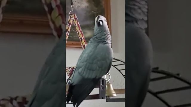 К маме хочу на ручки! смотреть онлайн