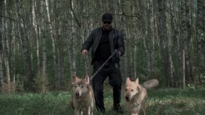 Ислам Итляшев - Влюблённый волк (Official Video, 2024) @MELOMAN-HIT