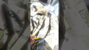 лада ларгус, рено логан,не работает прикуриватель ,быс