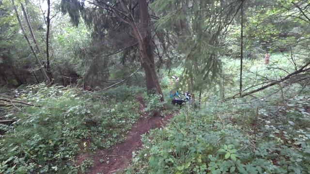 ОБКАТЫВАЕМ НОВЫЙ PROGASI RACE 300 / ЗАКРЫТИЕ 2024 ГОДА #enduro #progasi