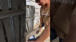 Профессор и велосипед / ГАРДЕЙ И ИВАНЫЧ #россия #рек #shor