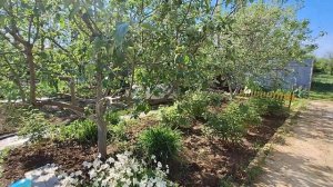 Дача в 10 км. от г.Саратова