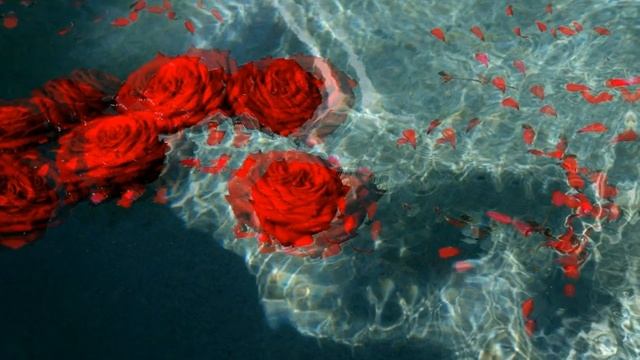 Новинка!  Словно Роза  -  КРАСИВА!   Стихи ВЕРА ГАРТ