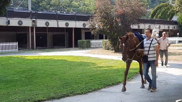 BEAUTIES ON THE Podium. КРАСАВИЦЫ НА ПОДИУМЕ. KRÁSKY NA PÓDIU смотреть онлайн
