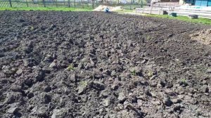 Мотоблок ЭНЕРГОПРОМ ТСР 820 4ENR.Фрезерую огород после пл