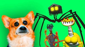 КОРГИ КЕКС ПРОТИВ МОНСТРОВ! Лучшие серии весны!!