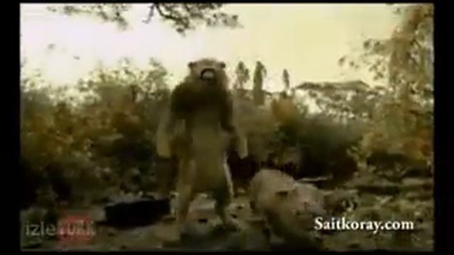 Прикол Лев танцует смотреть онлайн