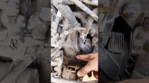 Shacman не газует. Блог автоэлектрика