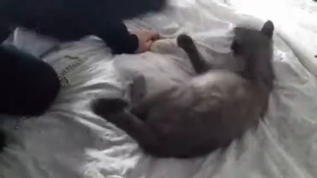 Намечается большая стирка