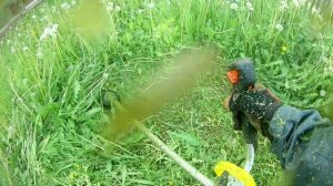 ZimAni FS450K тест - покос. Валим одуваны.#zimani #stihl