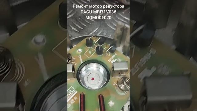 Ремонт мотор редуктора DAGU MRI71V036.  MOMO01020. TENNANT CS16.