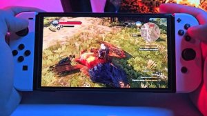 Как работает ВЕДЬМАК 3: ДИКАЯ ОХОТА на NINTENDO SWITCH OLED