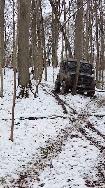 🌄 С горы в дерево . Броня крепка #shorts #подпишись смотреть онлайн