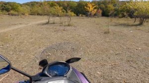 Обзор СКУТЕРА ЛЕОПАРД!!! (50сс 170сс )