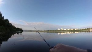 Плотва и мормо спиннинг.