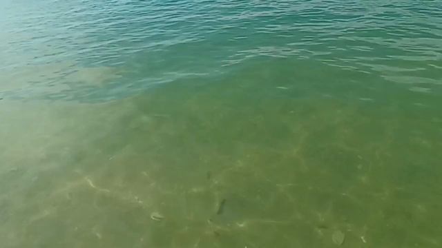 Обзор 🏖 "Ao Yon" (часть 1) #thailand #travel #panwa #пляж #пляжныйотды? смотреть онлайн