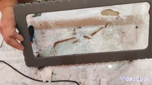 Замена стекла в духовом шкафу Bosch с функцией СВЧ  #духо?