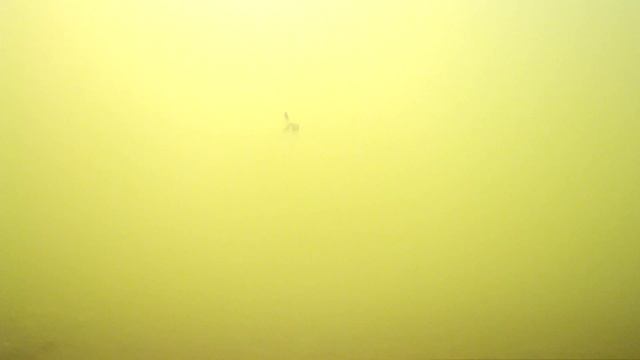 Подводное видео Хомутово карьер смотреть онлайн