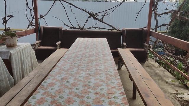 Цветут тюльпаны #Весна в разгаре