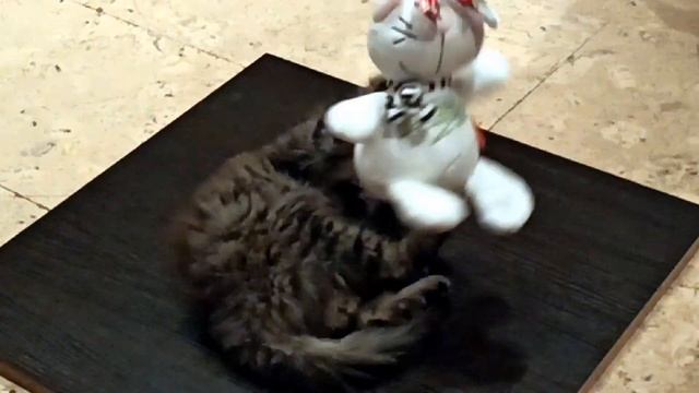 Незабываемый бой (прикол) смотреть онлайн
