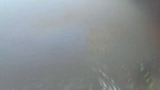 Как сделать авто-ферму по сбору пшеницы! смотреть онлайн