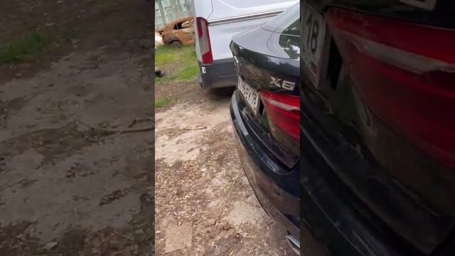 A0aaf1c5-5131-4121-b762-dd197901c3b6