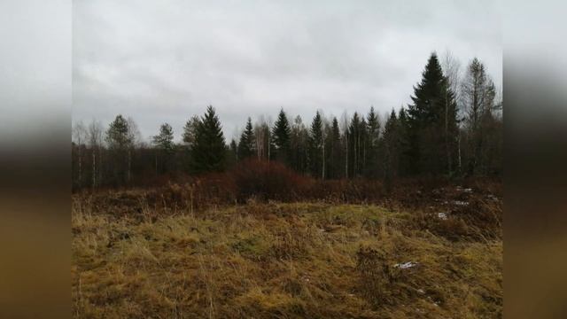 Александр Блок "Россия", читает Елена Асеева смотреть онлайн