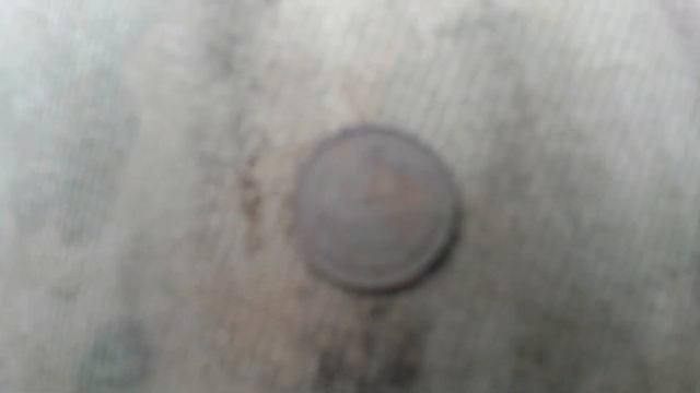 Новые находки. Не ветер, а тяжёлый мокрый снег это сделал. Ошибка в видео смотреть онлайн