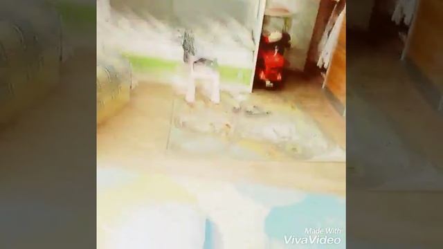 mOЁ UTРо :-D смотреть онлайн