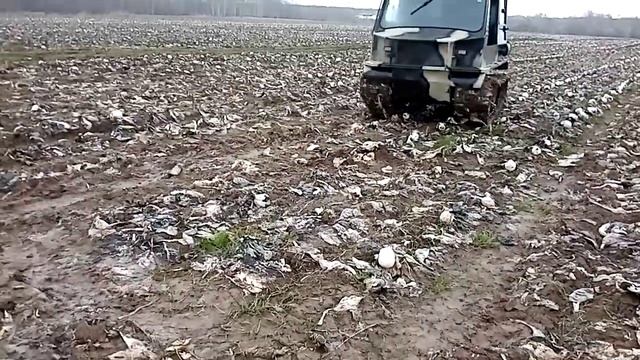 гусеничный вездеход 