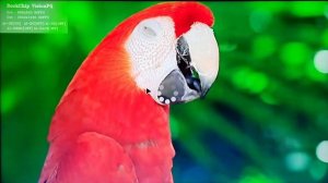 Обзор H96 MAX M9: мощный ТВ-бокс на RK3576 с AI-улучшением видео