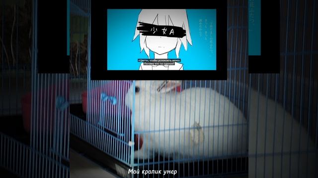 Young Girl a смотреть онлайн