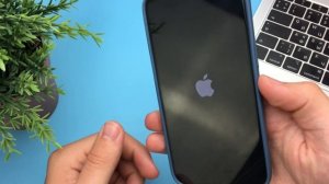 Что делать если iPhone не подключается к Wi-Fi? Не Работает W