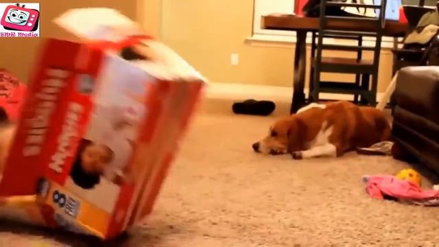 ПРИКОЛЫ С ДЕТЬМИ , ПОДБОРКА 2015 !!! смотреть онлайн