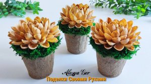 Как сделать СУККУЛЕНТЫ из скорлупок от фисташек своими руками. Мастер-класс