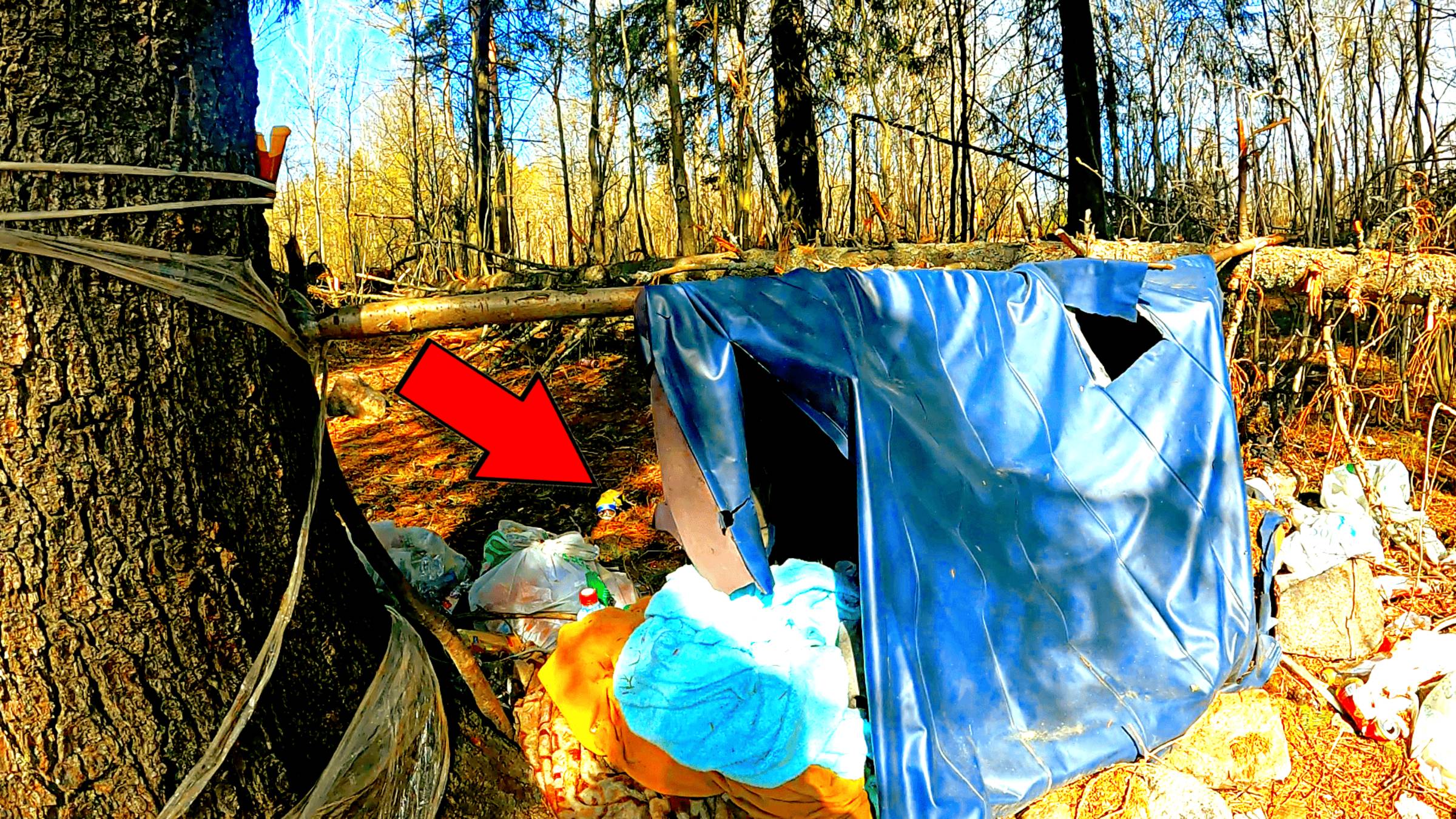 ГРИБНИК БЫЛ В ШОКЕ КОГДА УВИДЕЛ ЭТО! ОДИН В ЛЕСУ ТАКОГО НЕ ОЖИДАЛ! ТИХАЯ ОХОТА ГРИБЫ 2025 смотреть онлайн