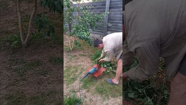 Ещё один наш садовый помощник. смотреть онлайн