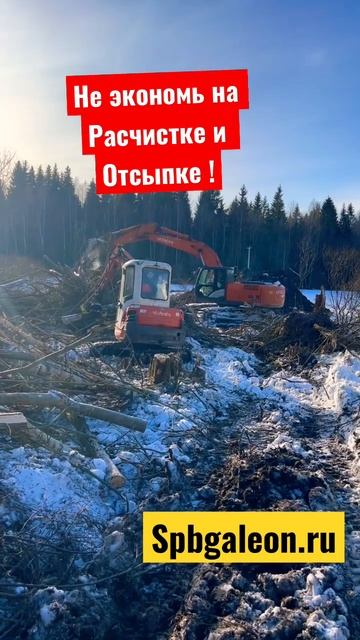 НЕ ВСЕ ТАК ПРОСТО! РАСЧИСТКА УЧАСТКА ОТ ДЕРЕВЬЕВ. #shorts # смотреть онлайн