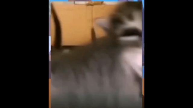 сусин сусин асасин будем жарить апельсин АА Аааааааа смотреть онлайн