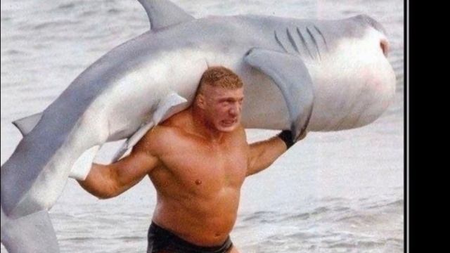 Смотреть Всем_!Приколы смотреть онлайн