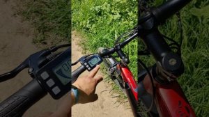 электровелосипед Eltreco xt-800 pro