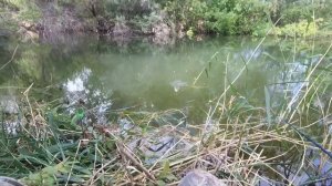 На мопеде на рыбалку.