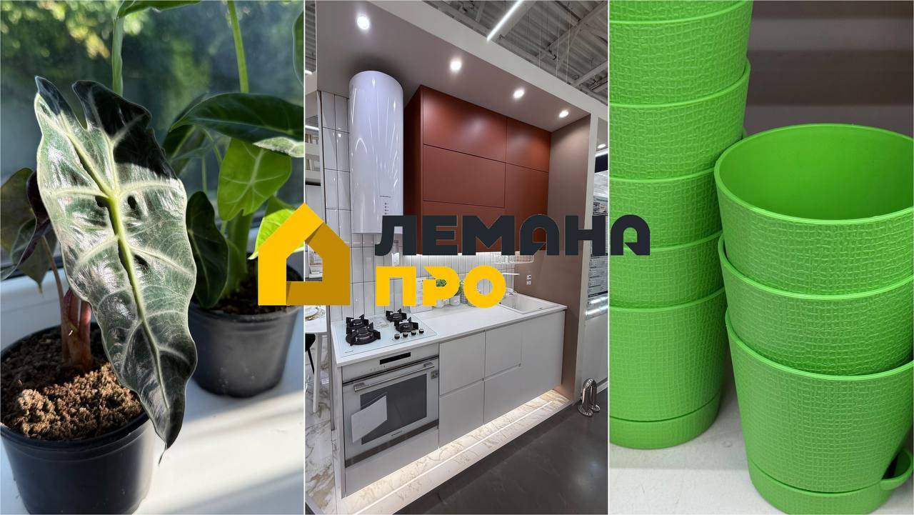 ✅ ЛЕМАНА ПРО (Леруа Мерлен) В ПОИСКАХ КАШПО 🪴Цветочный обзор, декор и кухни в магазине 🔥 смотреть онлайн
