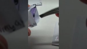 Подборка бумажных собак из Тик тока ✨(Sora_cats)#бумажныес