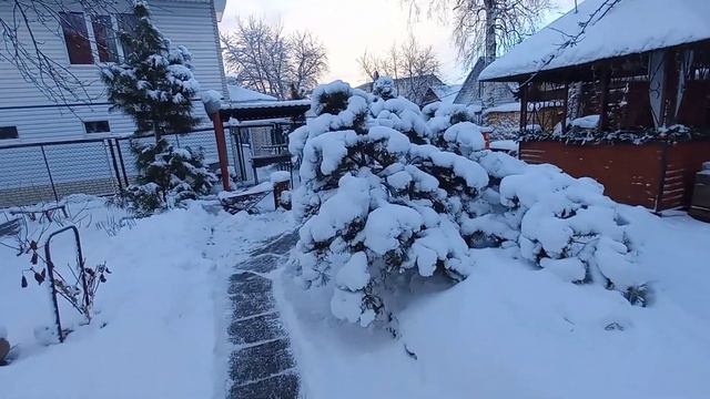 УЛЕТЕЛ новогодний декор. ЛОСКУТНАЯ идея. ТЮЛЬПАНЫ кра? смотреть онлайн