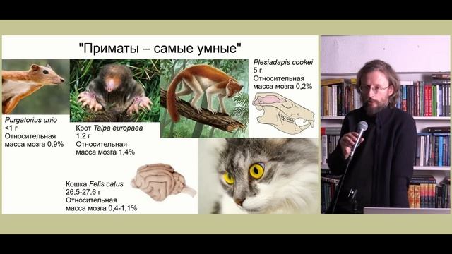 Станислав Дробышевский - Правда и мифы о мозге 1 из 4 (17 мая 2025)