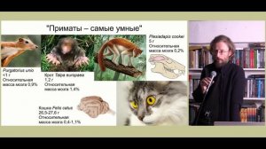 Станислав Дробышевский - Правда и мифы о мозге 1 из 4 (17 мая 2025)