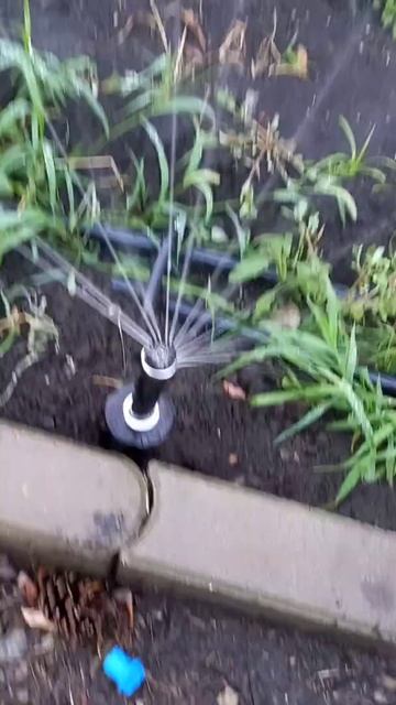 системы автоматического полива смотреть онлайн