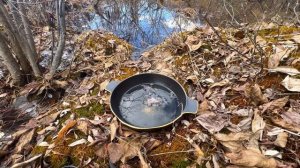 ПОСАДИТЬ ВРАГА В БОЛОТО (ЗА ДЕЛО). ОНЛАЙН-РИТУАЛ С ОБРАТКОЙ